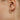 Through Fire Earrings